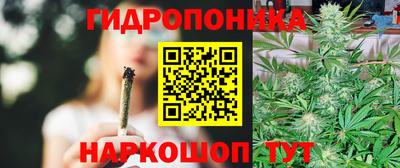 прущие грибы Славянск-на-Кубани