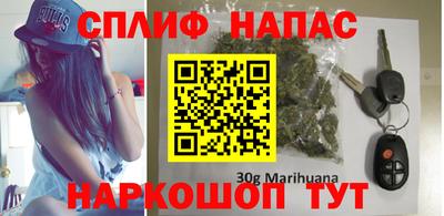 МДПВ Славгород