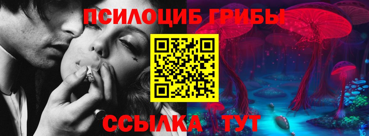 Псилоцибиновые грибы прущие грибы Похвистнево